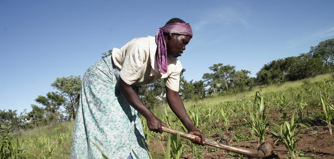 The plan aims to improve food security and nutrition in sub-Saharan Africa, but the Greens say more sinister undertones exist