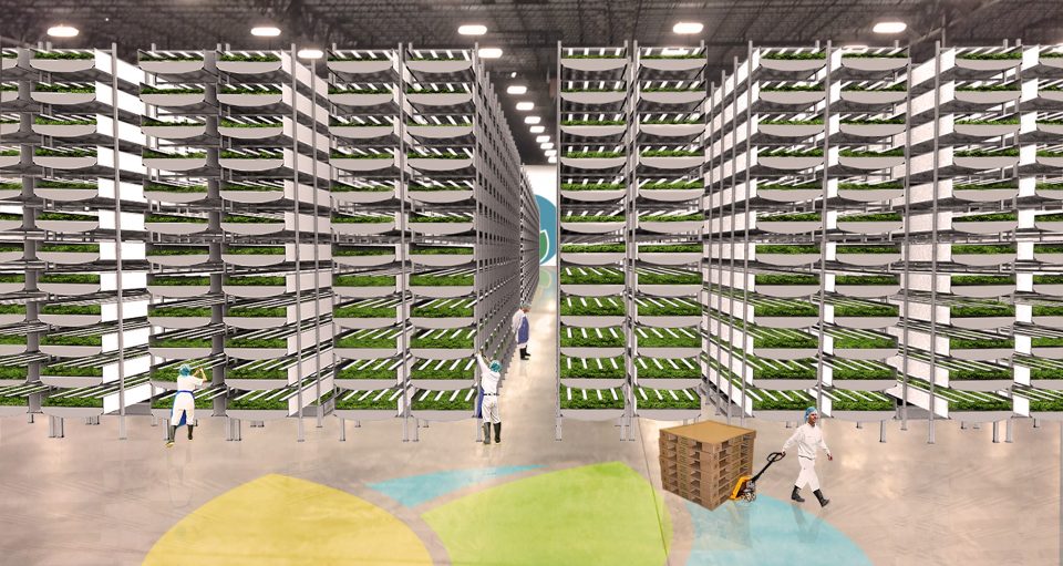  Dubbed the world's largest vertical farm, this 70,000-square-foot facility has the potential to harvest 2 million pounds of food a year (Picture: AeroFarms)
