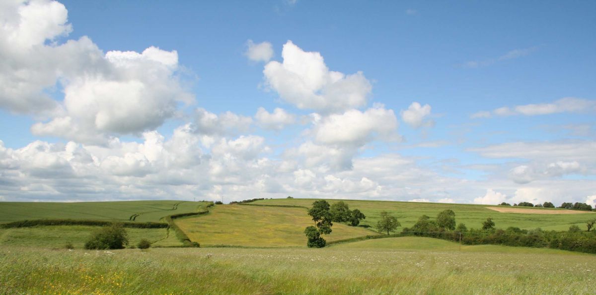 Farmers are 'increasingly cautious' about paying premium rental prices