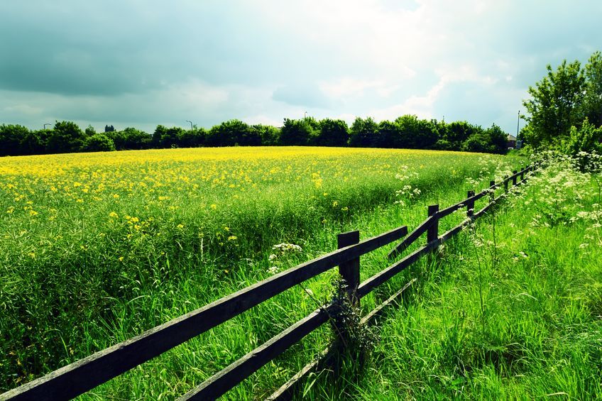 UFU members have shown a keen interest in using the scheme for upgrading fences and erecting new fencing