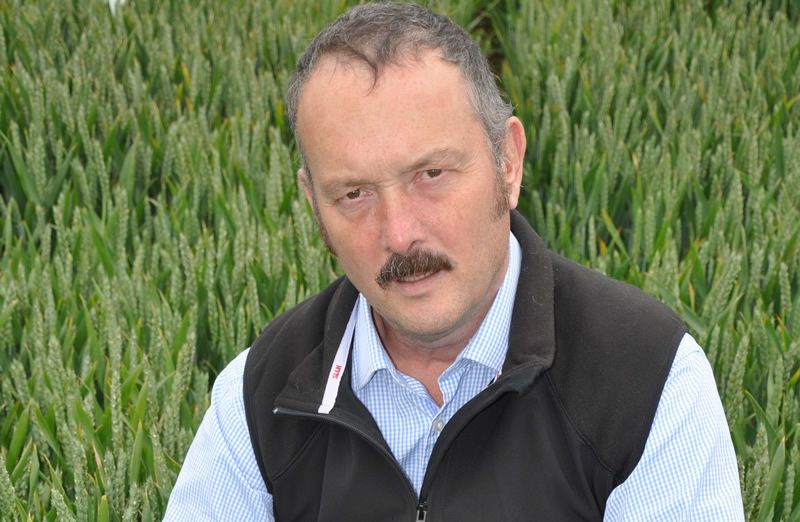 A T3 fungicide doesn’t just target ear diseases, it also tops up foliar disease control