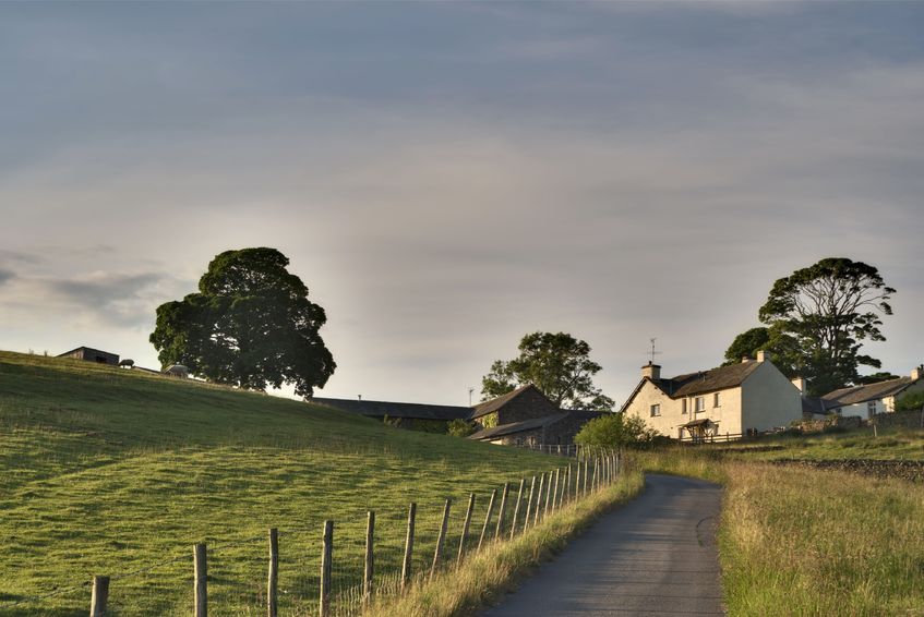 'In a good year, a farmer has made more from a contract farming agreement than renting out the land'