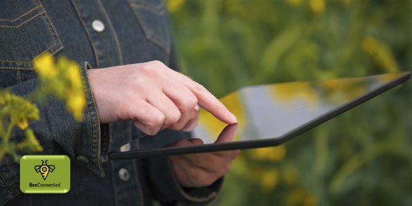 Following the September launch, BeeConnected will operate on a very simple, yet efficient, two-way communication process