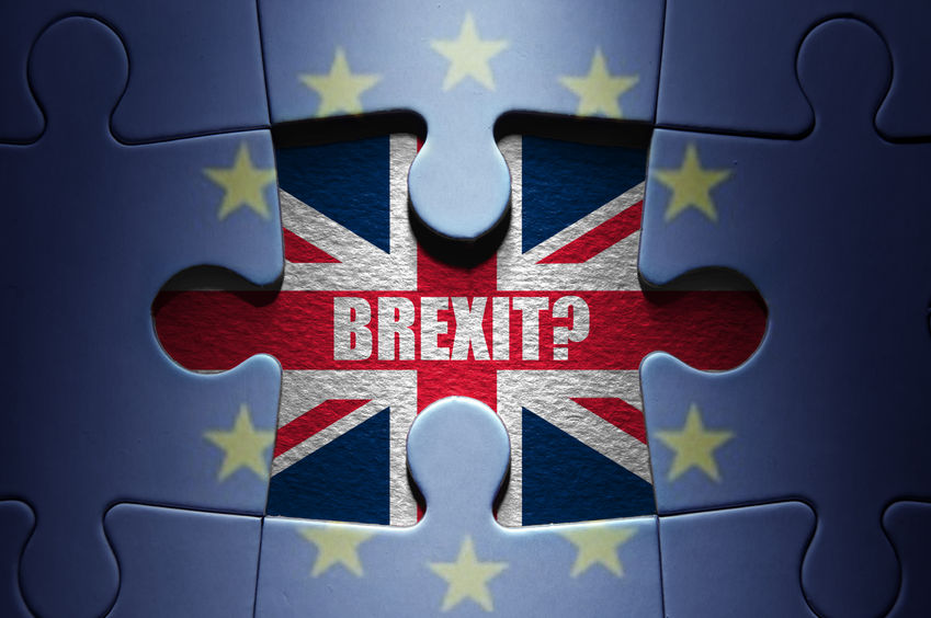 Which way will you vote?