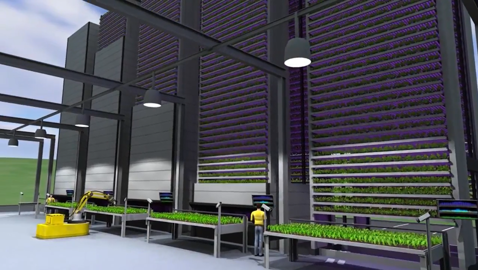 Vertical farming is set to grow rapidly as LEDs fall in cost and efficiencies increase