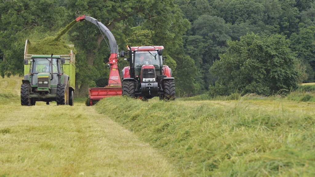 Lighter yields of first cut grass silage may mean farmers have to rely more heavily on feeding later silage cuts this winter, says Ecosyl product manager, Derek Nelson