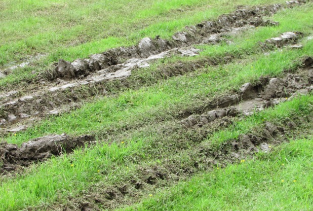 "At the moment conditions across the showground are poor"