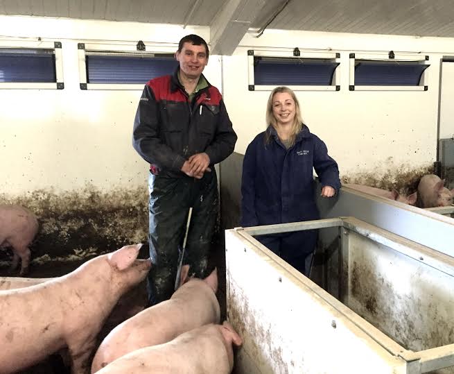 £300,000 project to improve efficiency of UK pig production through precision farming