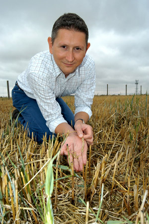 Jason Tatnel + shed barley seed