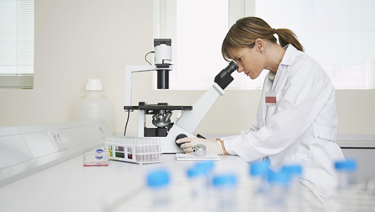 AHDB issues call for new studentship proposals