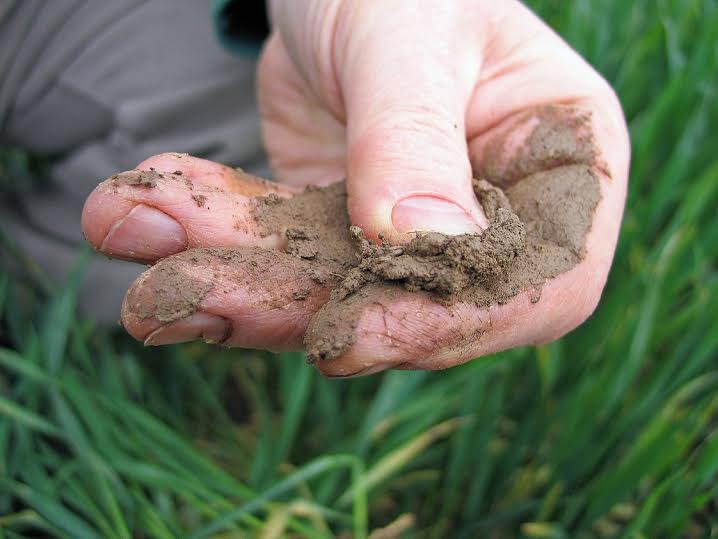 Natural Resources Wales’s free soil sampling scheme that can benefit their business and nature