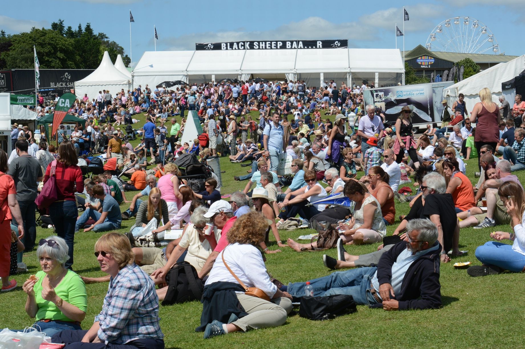 Great Yorkshire Show