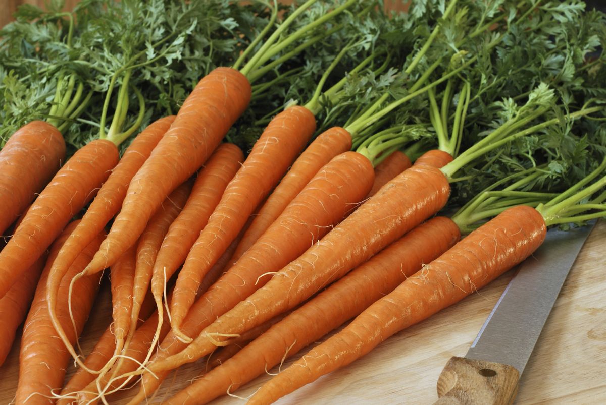 Tailored nutrient programme, can potentially securing new premium markets