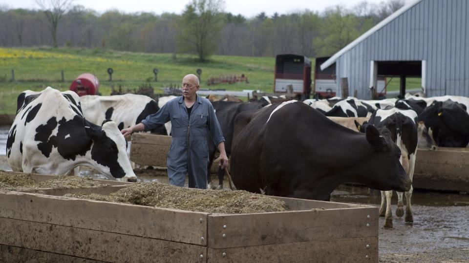 Veterinary organisations are seeking reassurance over the rights of vets from other EU countries who work in the UK