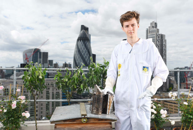 Ollie Point is busy as bee looking after hives in his new job