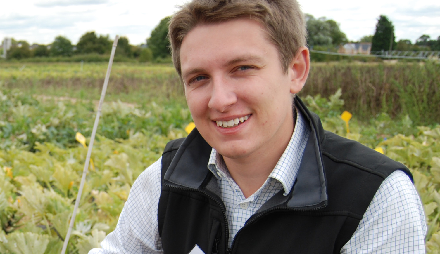 Text message warning from Syngenta Brassica Alert has proven to enable better timing of fungicide treatments to protect crop quality