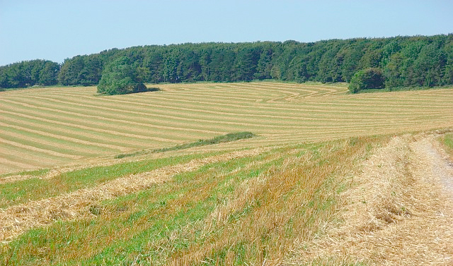 Non-farmers set to play bigger role in UK farmland market