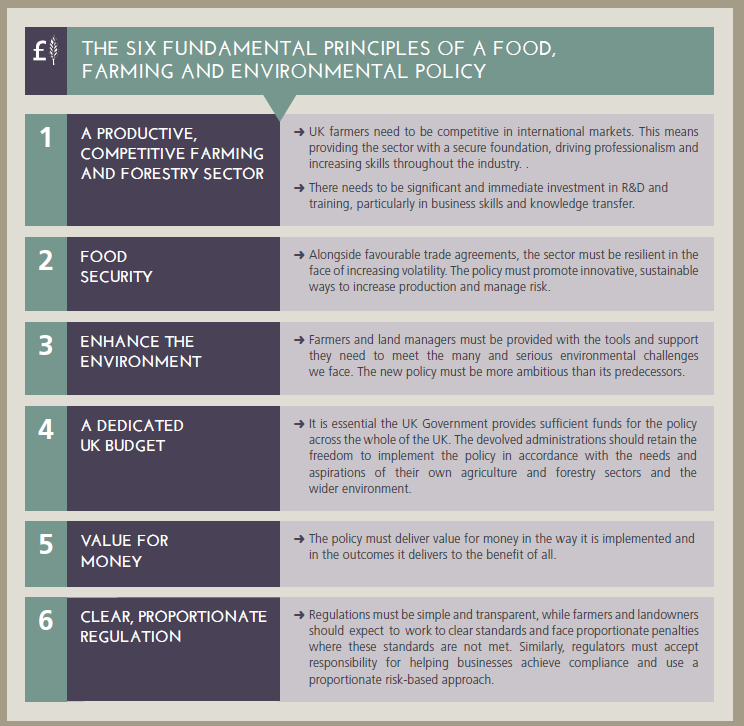 Six fundamental principles
