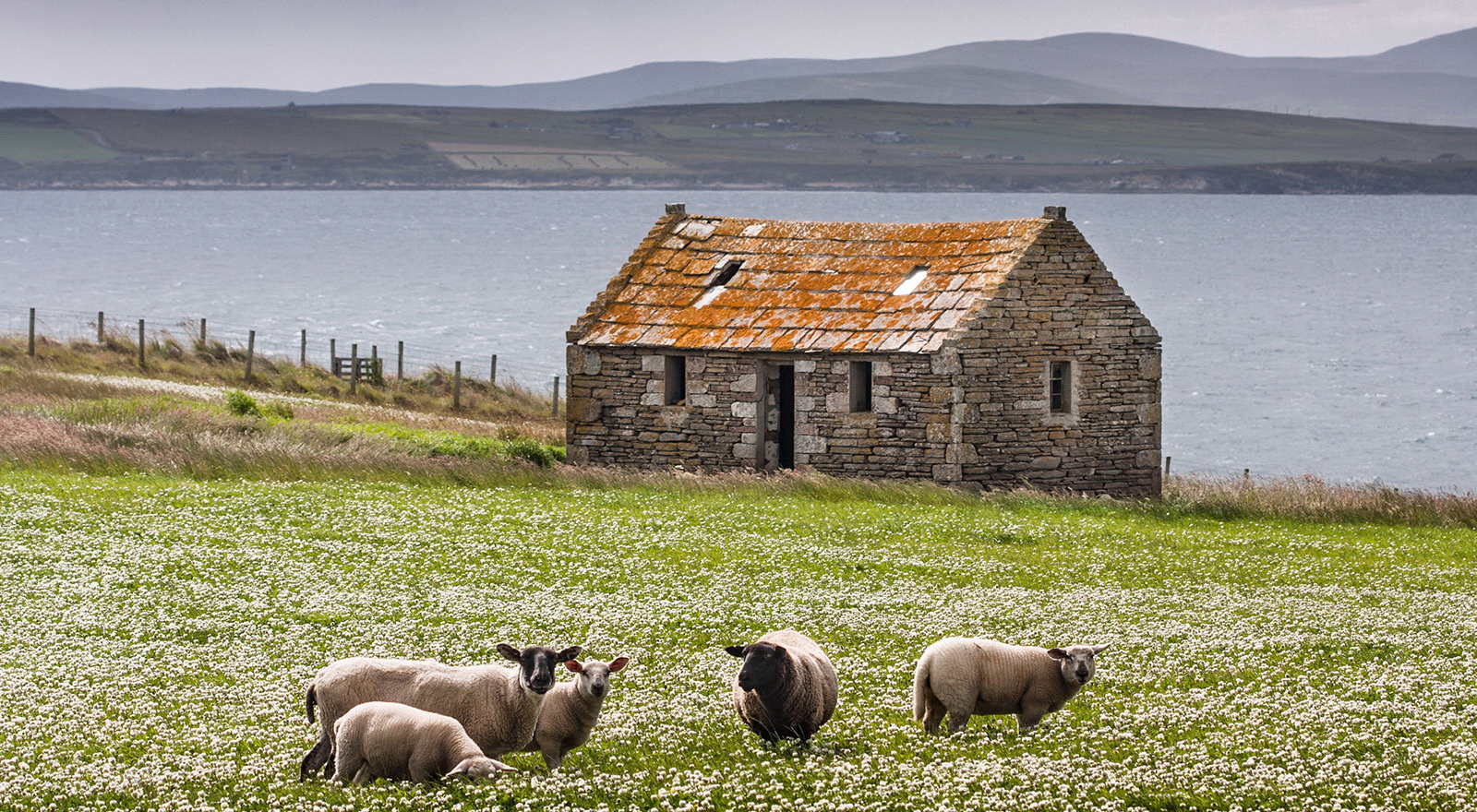 A concern for most UK farmers will be the amount of financial support once CAP finishes