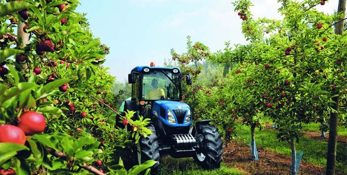 Weed-killing robots and ultra-sensitive storage technology for UK apples to help food security and sustainability