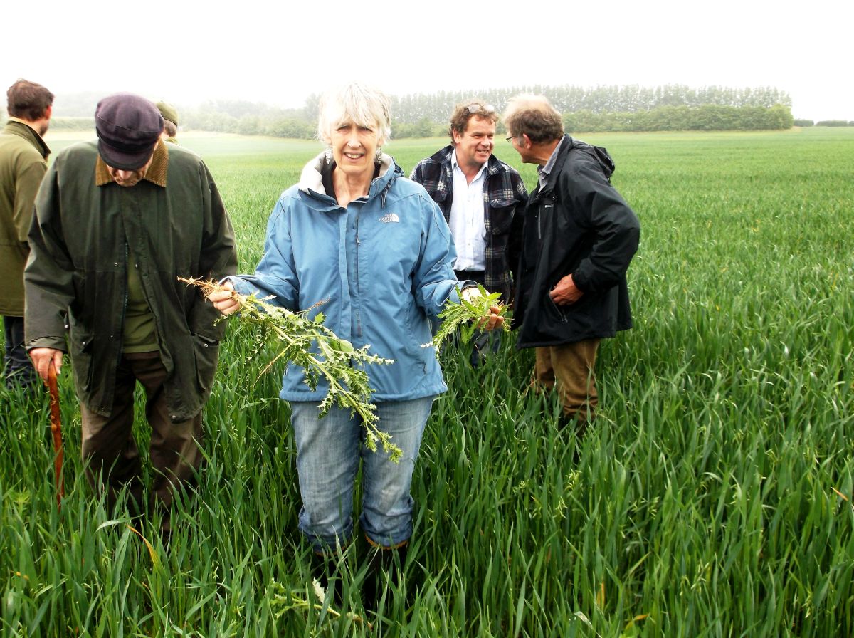 Liz Bowles, head of farming at the Soil Association, compared different treatments