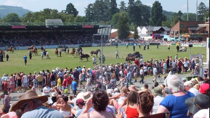 Royal Welsh Show