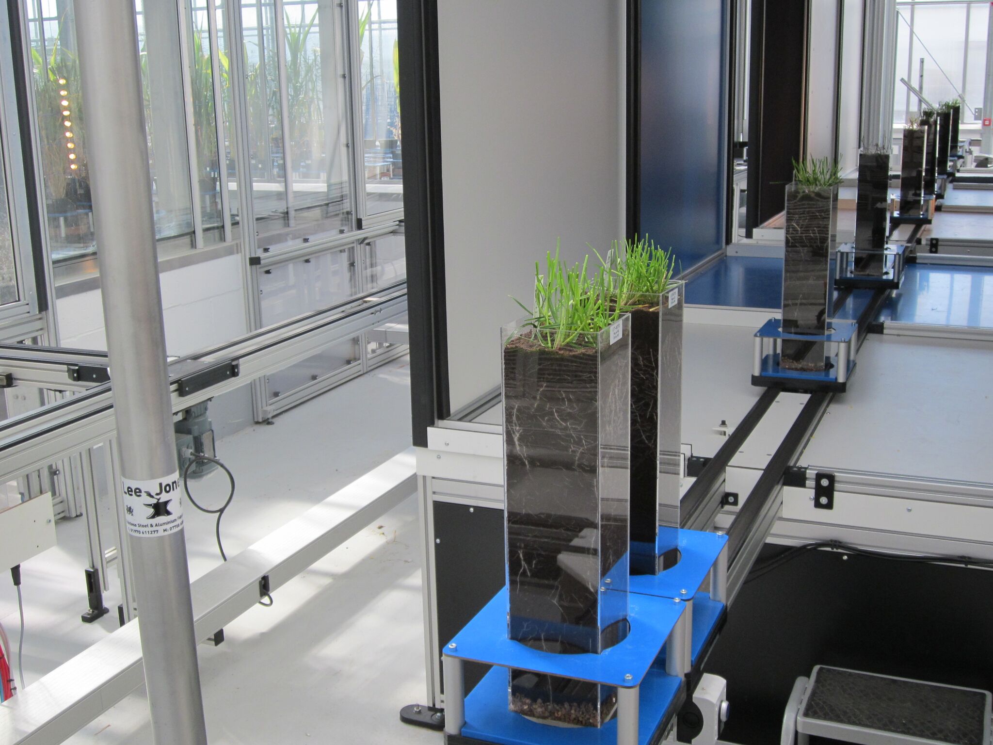 The National Plant Phenomics Centre at IBERS Aberystwyth University provides facilities that allow root structures to be examined in living plants