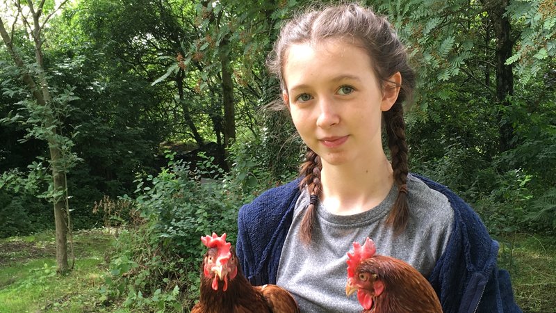 14 year old Lucy Gavaghan launched a petition to end the sale of eggs from caged hens in Tesco and after 280,299 signatures, they agreed