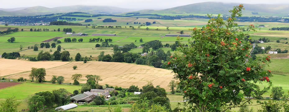 "Rural homes cost 22% more than in urban areas"