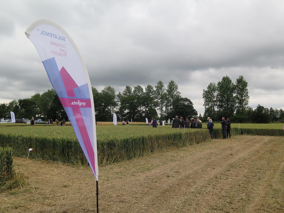 Solatenol plot trials - Rougham open day