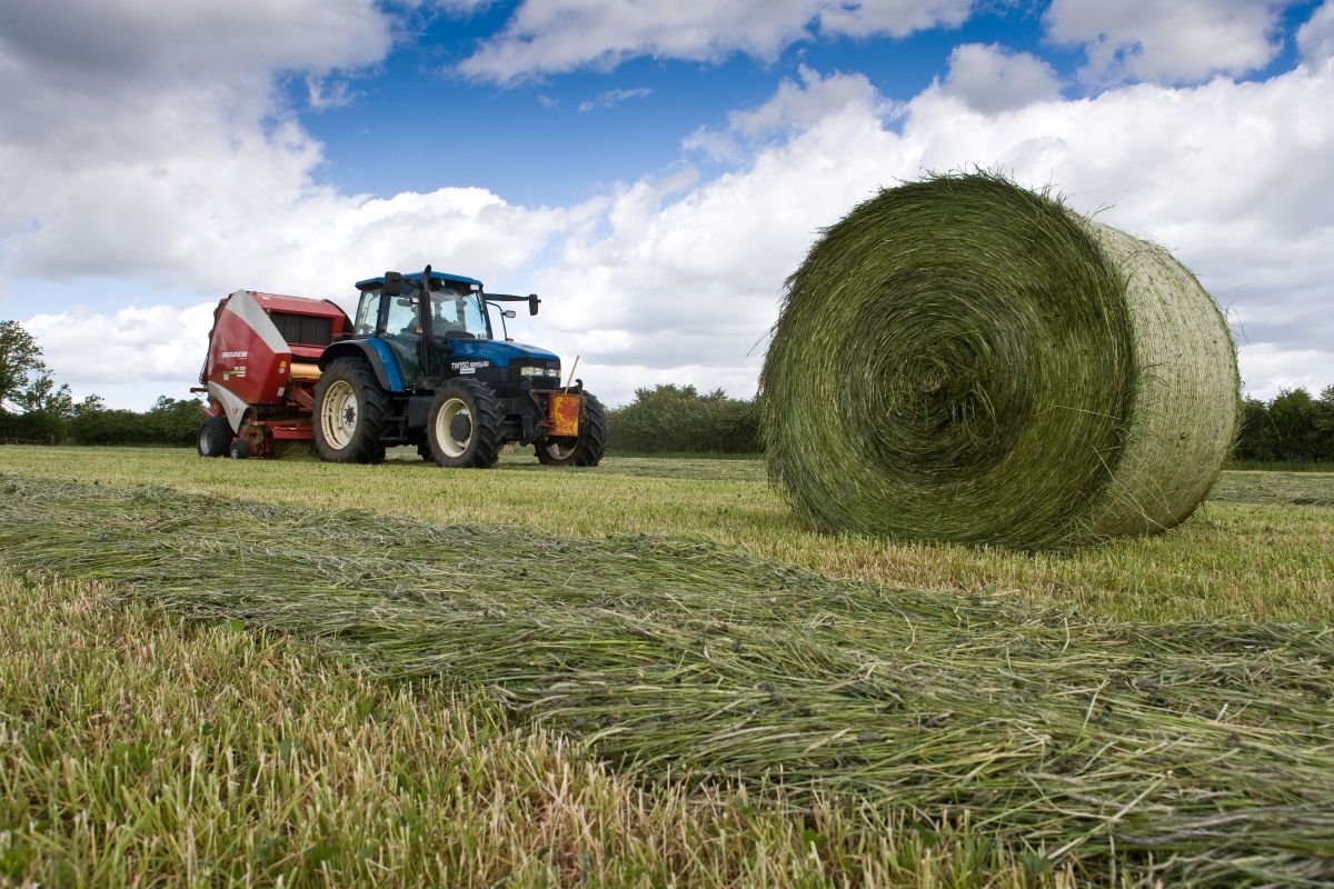 Across the UK, most farmers will now have made at least one silage cut