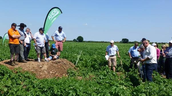 Mark Stalham (NIAB CUF) on irrigation