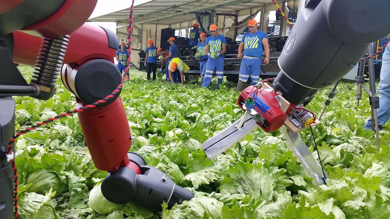 Robots are emerging as agricultural co-workers