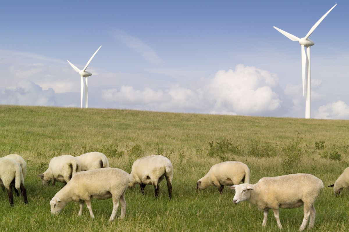 A locally owned community energy charity has received a major £3.5m boost