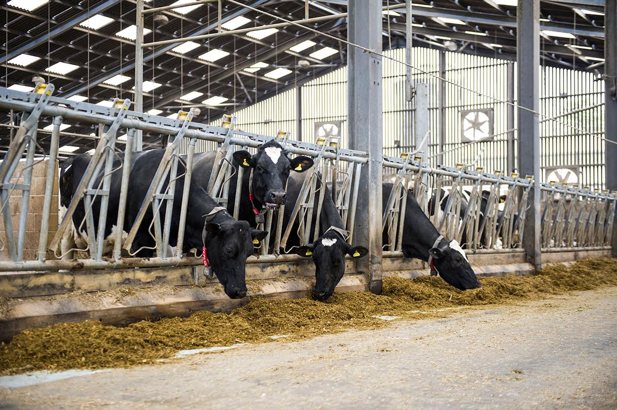 The fund was awarded to help British dairy farms maintain their global competitive position