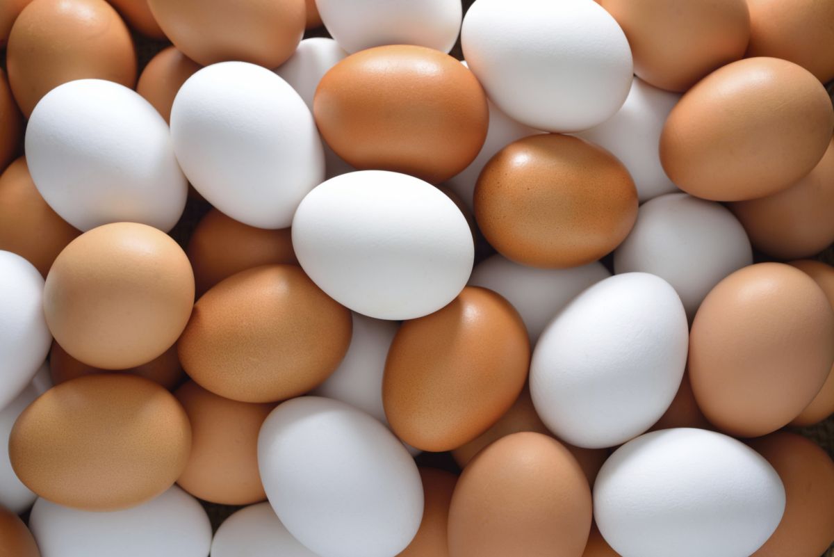 Currently 40% of shoppers buy eggs from enriched cage systems