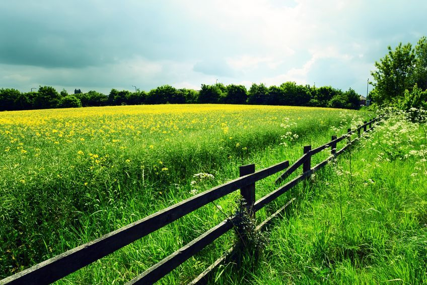 English farmland values fell by just 1.7% in the second quarter of 2016