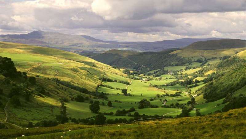 Churches will be urged to move to a low carbon future to combat climate change and to protect environment