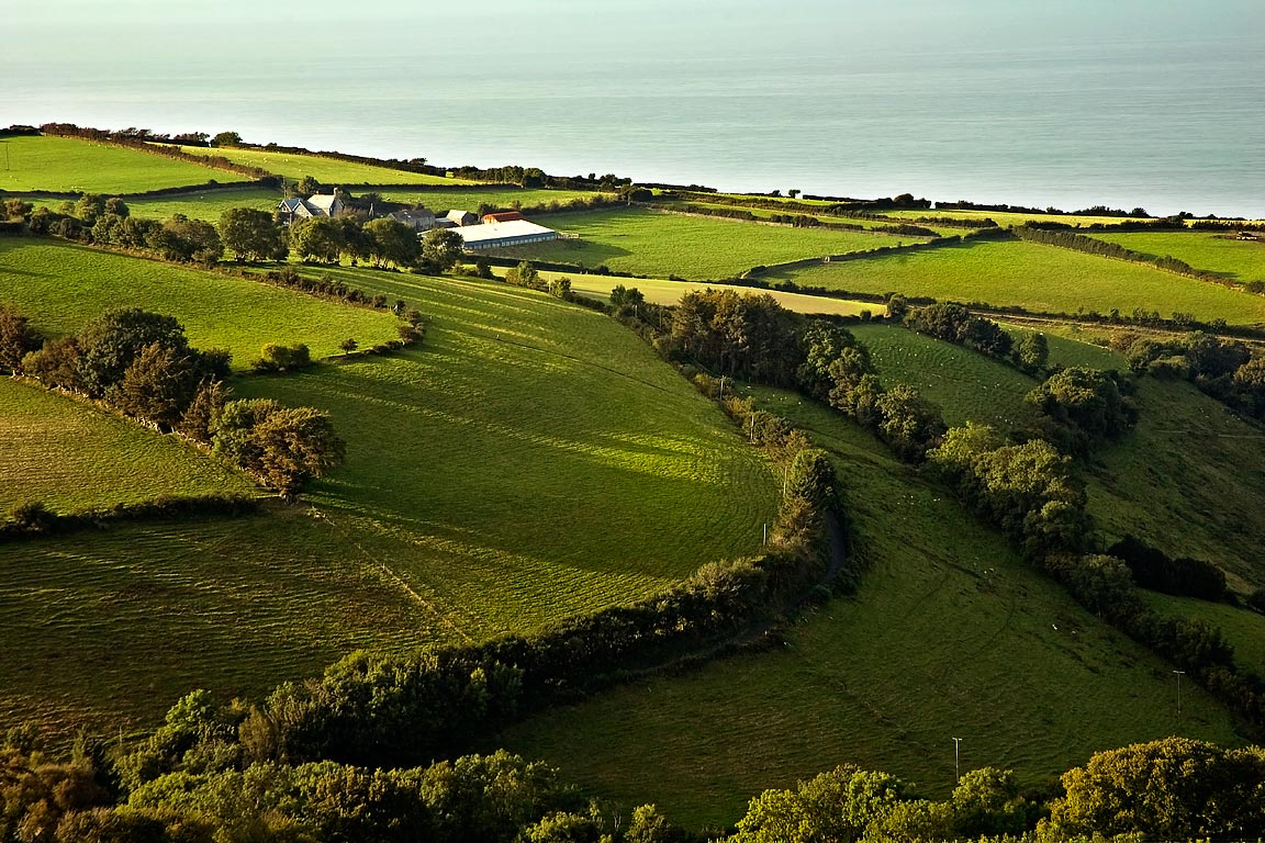 During their referendum campaigns, Leadsom and farm minister George Eustice said that current levels of EU farm subsidy payments would be kept. 