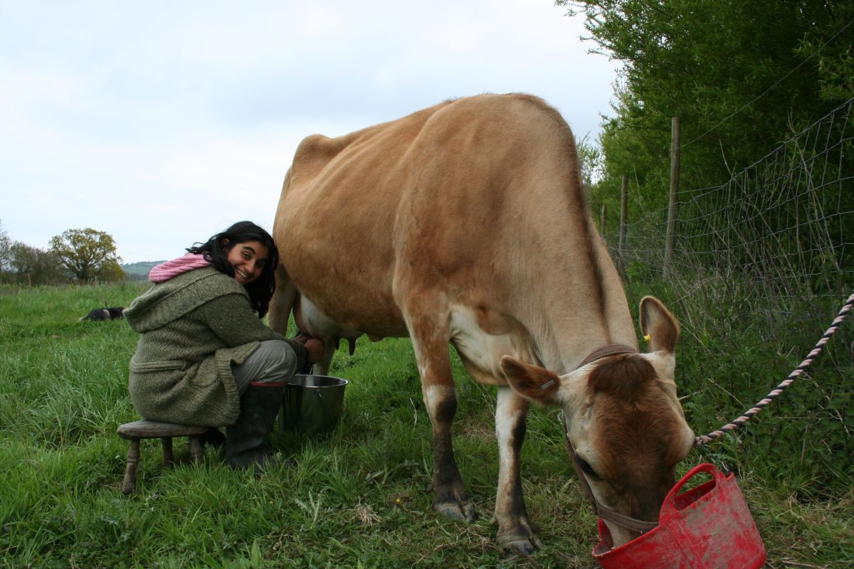 The Landworkers’ Alliance is an organisation of ecological, community and family farmers