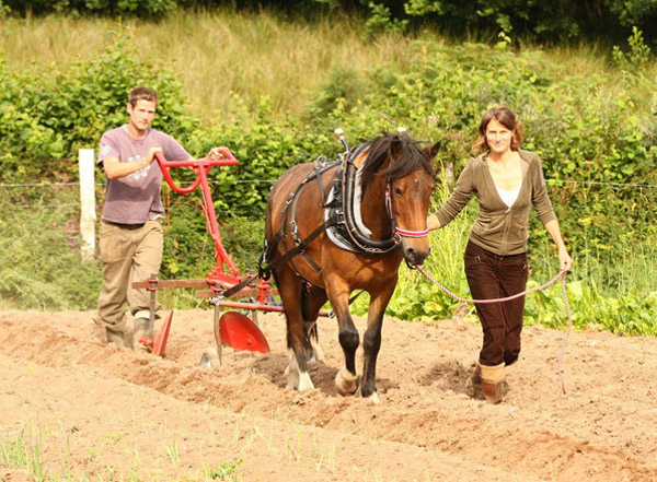 The LWA want a more 'just' food system