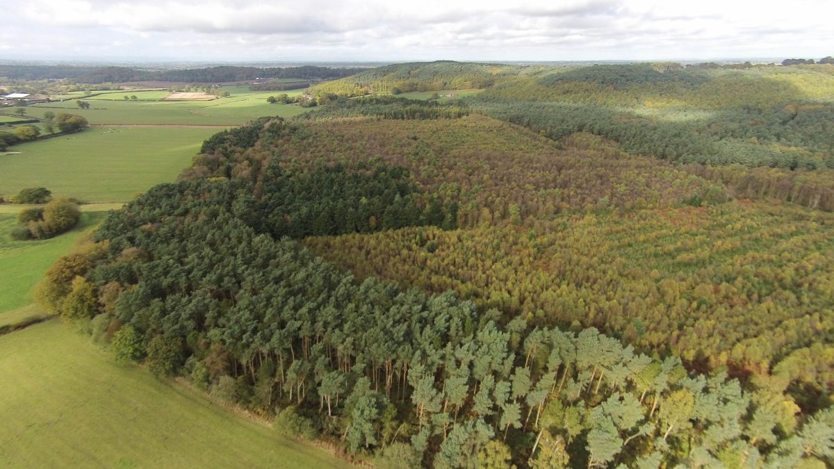 "Results of our spatial analysis show that trees on agricultural land sequestered close to 0.75 Gigatonnes of carbon dioxide globally per year"