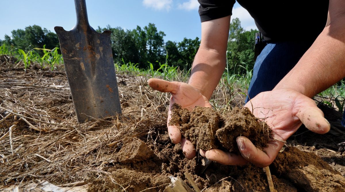 Projects including research into protecting crops from pests and increasing tolerance to adverse weather conditions will share the funding