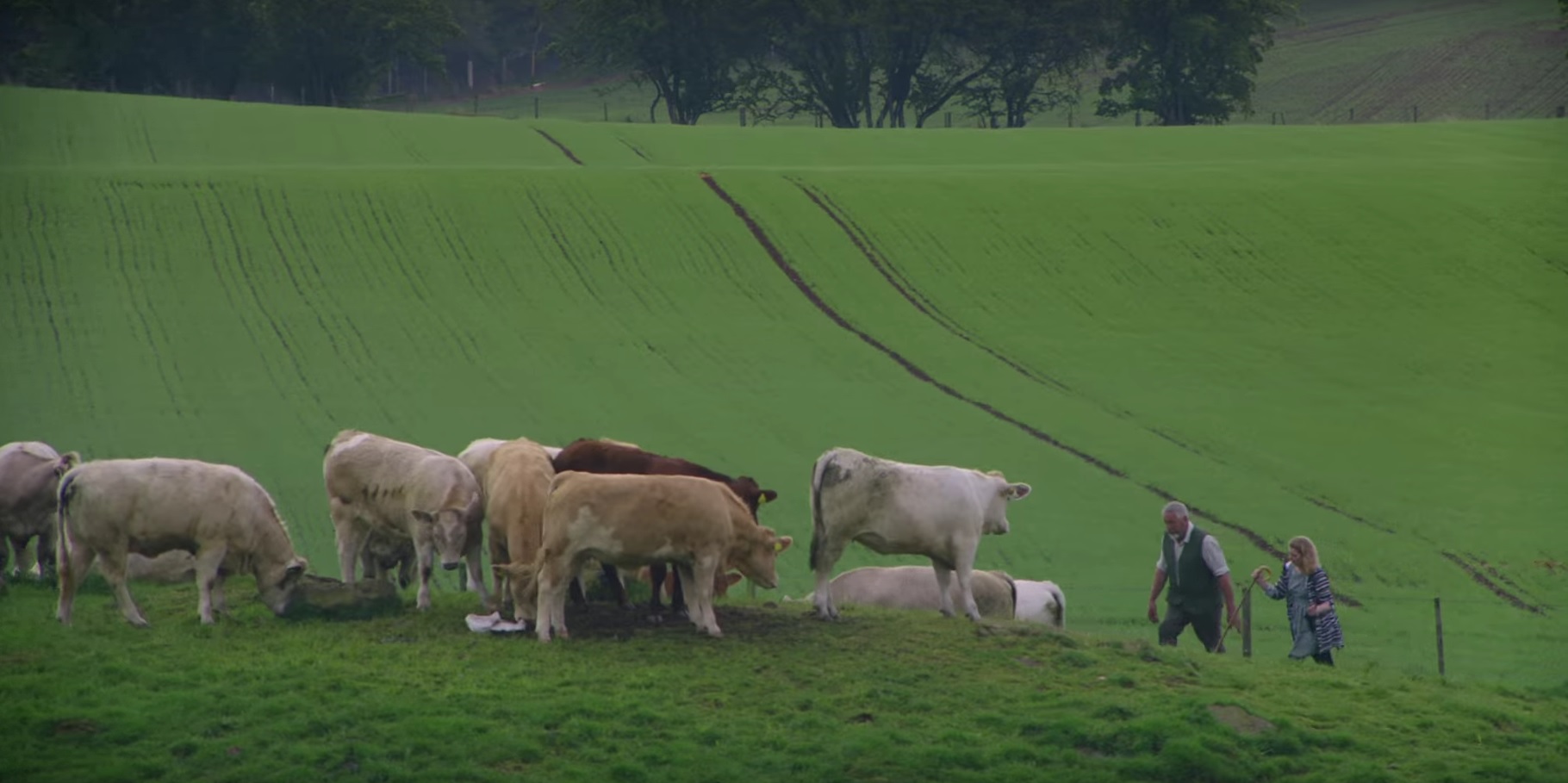 The Lidl advert shows a Scottish beef farmer show a customer around his farm