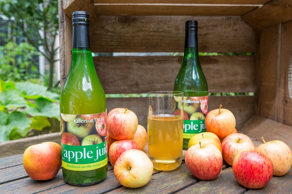 Moreish sweet-sharp apple juice, Killerton near Exeter