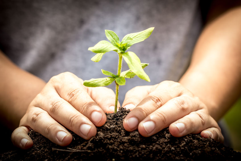 Soil Association is UK