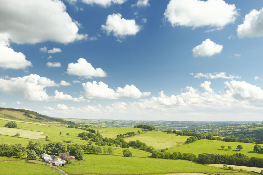 Food security "must drive a new, bold ambition" for UK farmers and growers