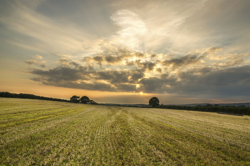 The 2012 Act put in place a new scheme of land registrationm, to reform and restate the law on the registration of rights to land in the Land Register of Scotland