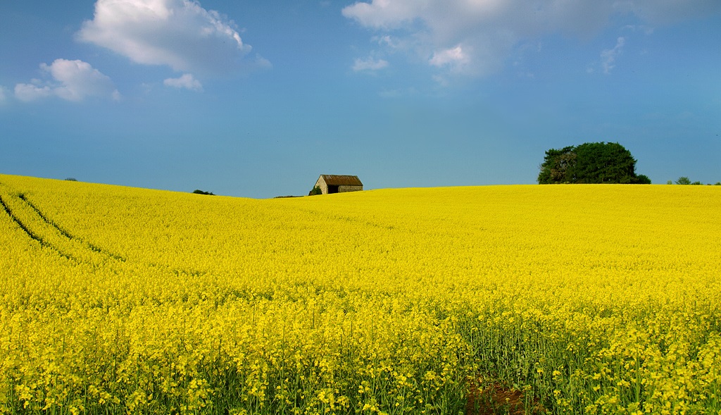 "Farmers and rural business owners need to focus on developing their leadership skills"