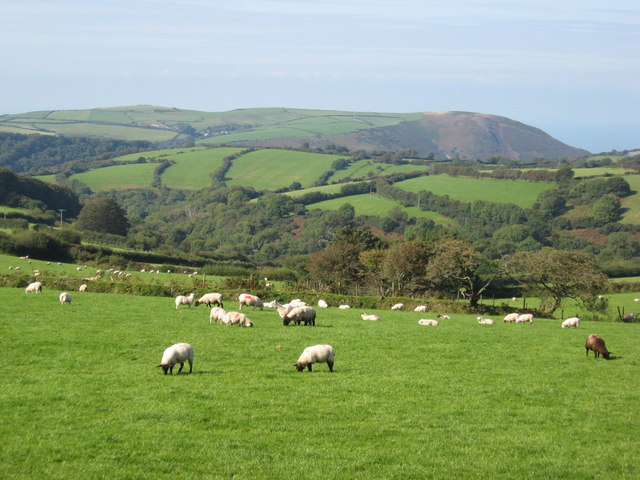 Natural England was formed in 2006 with the aim to preserve England's natural environment